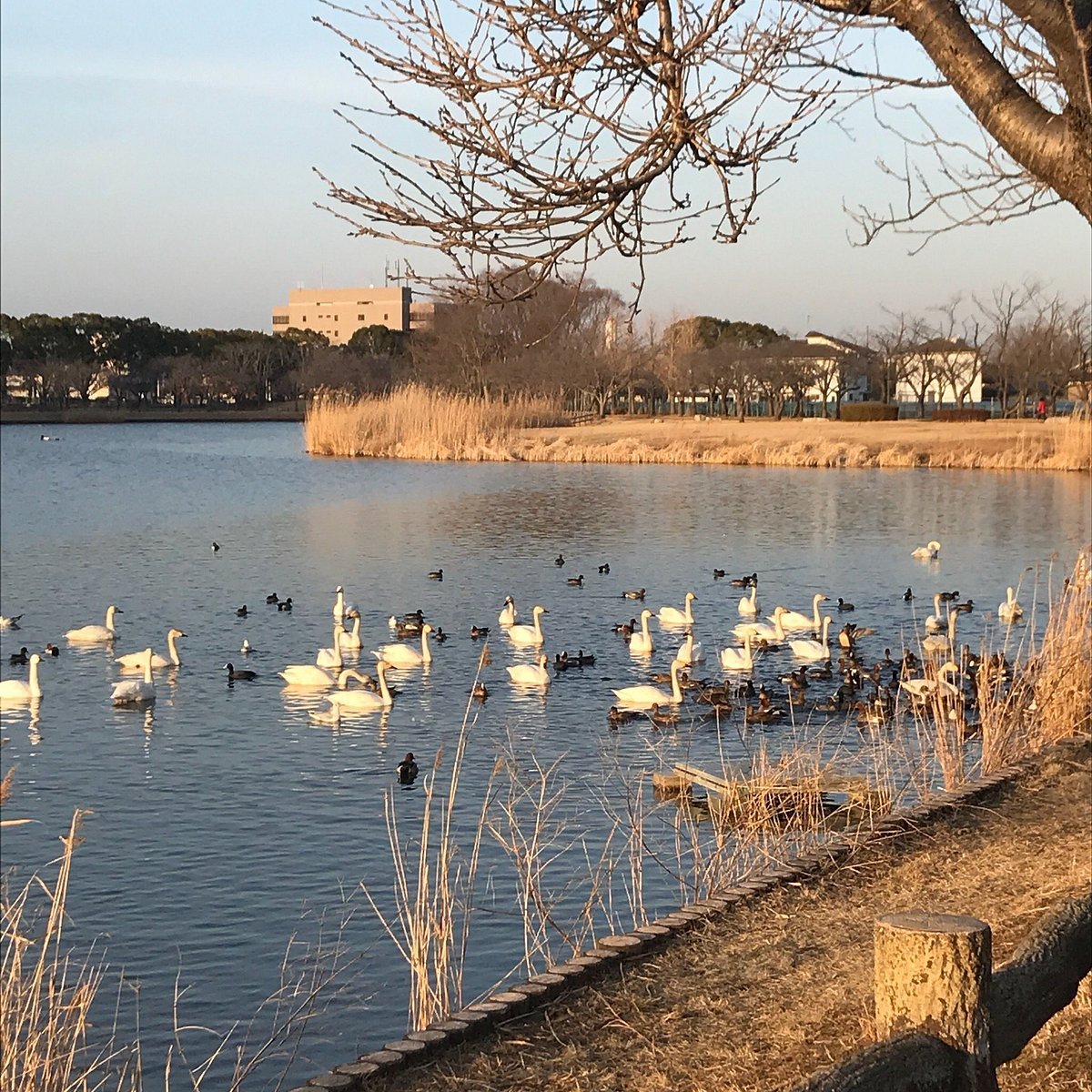 🏞️ 옷토누마 공원(옷토누마 코엔) 이미지 6